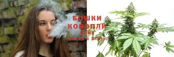 spice Вязьма